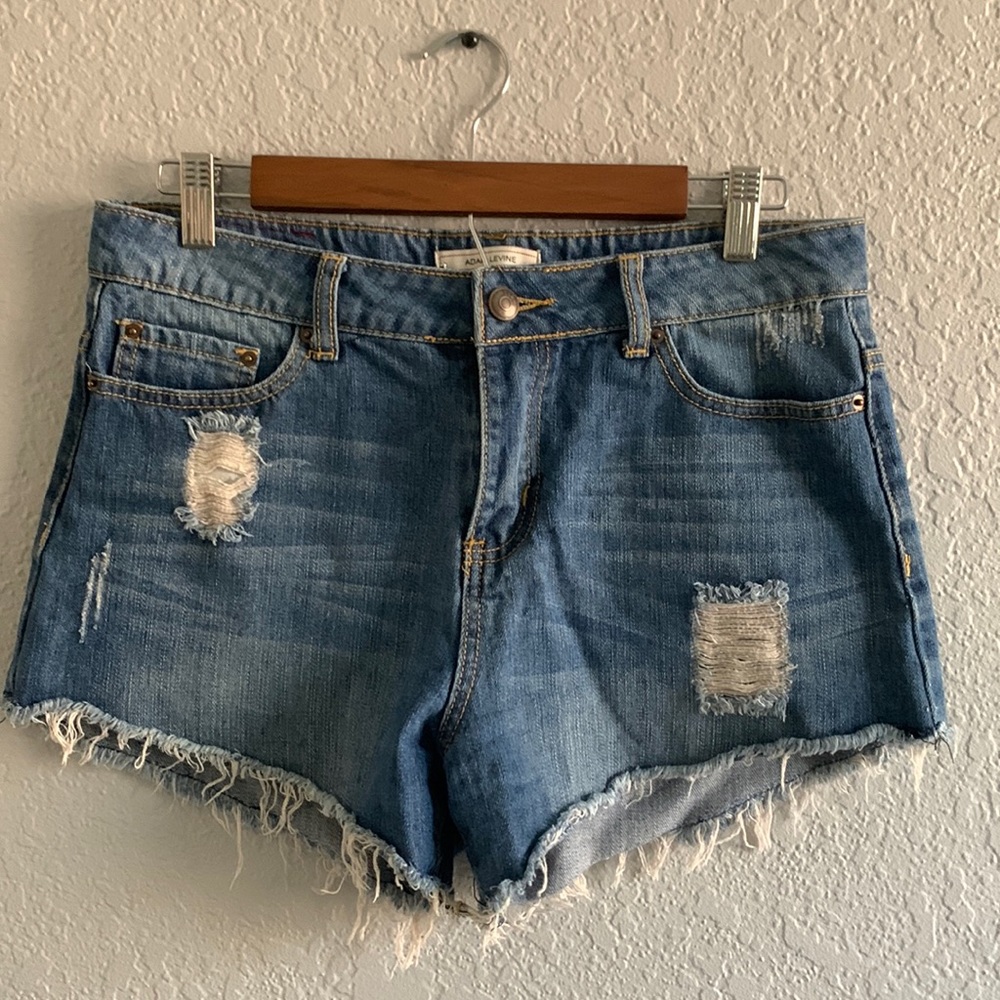 Adam Levine Denim Shorts